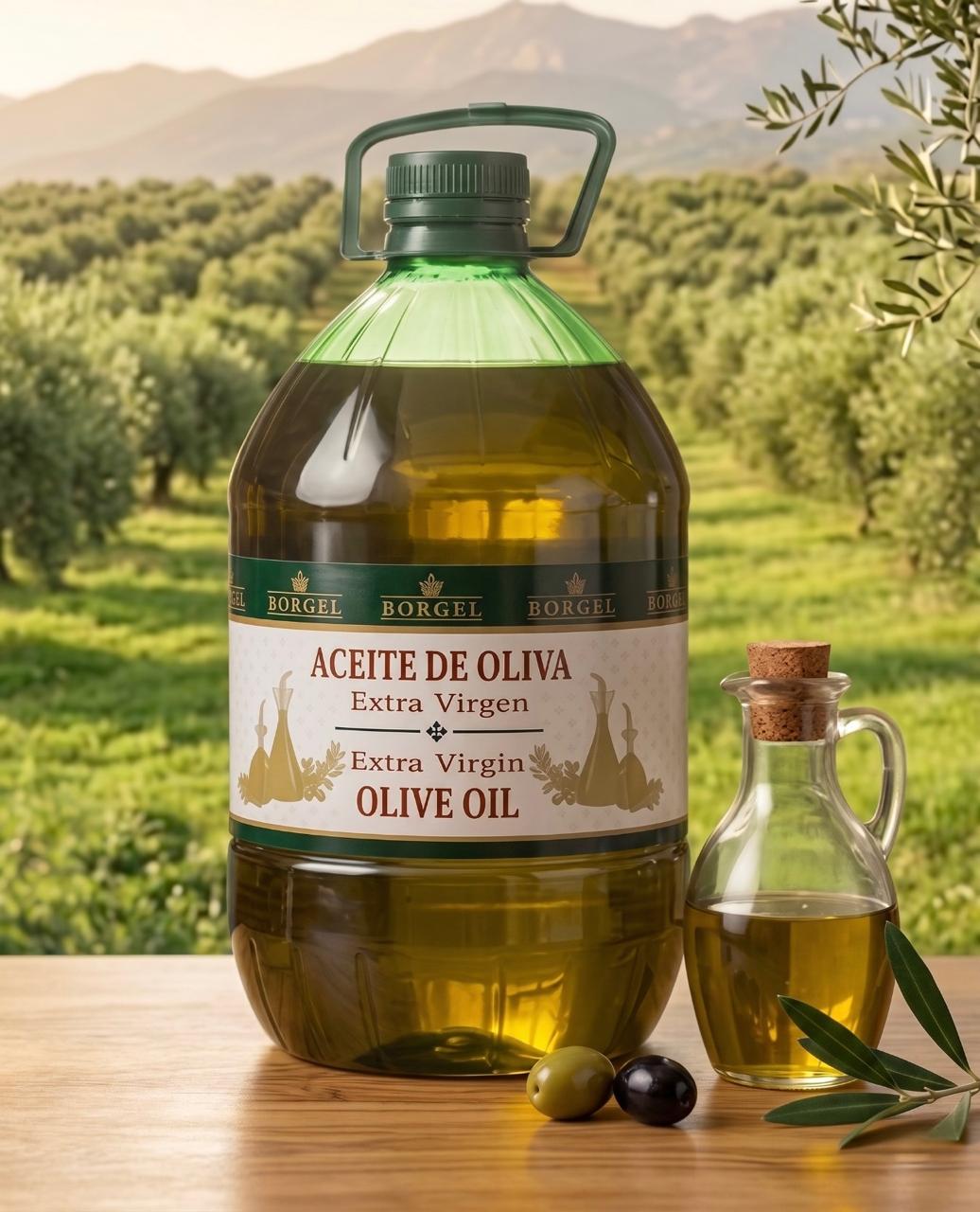 Aceite de Oliva Borgel 5L